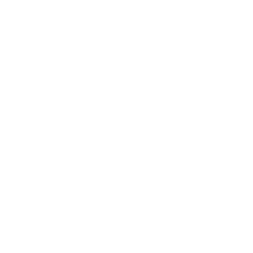 MISA Foreign Investment License icon